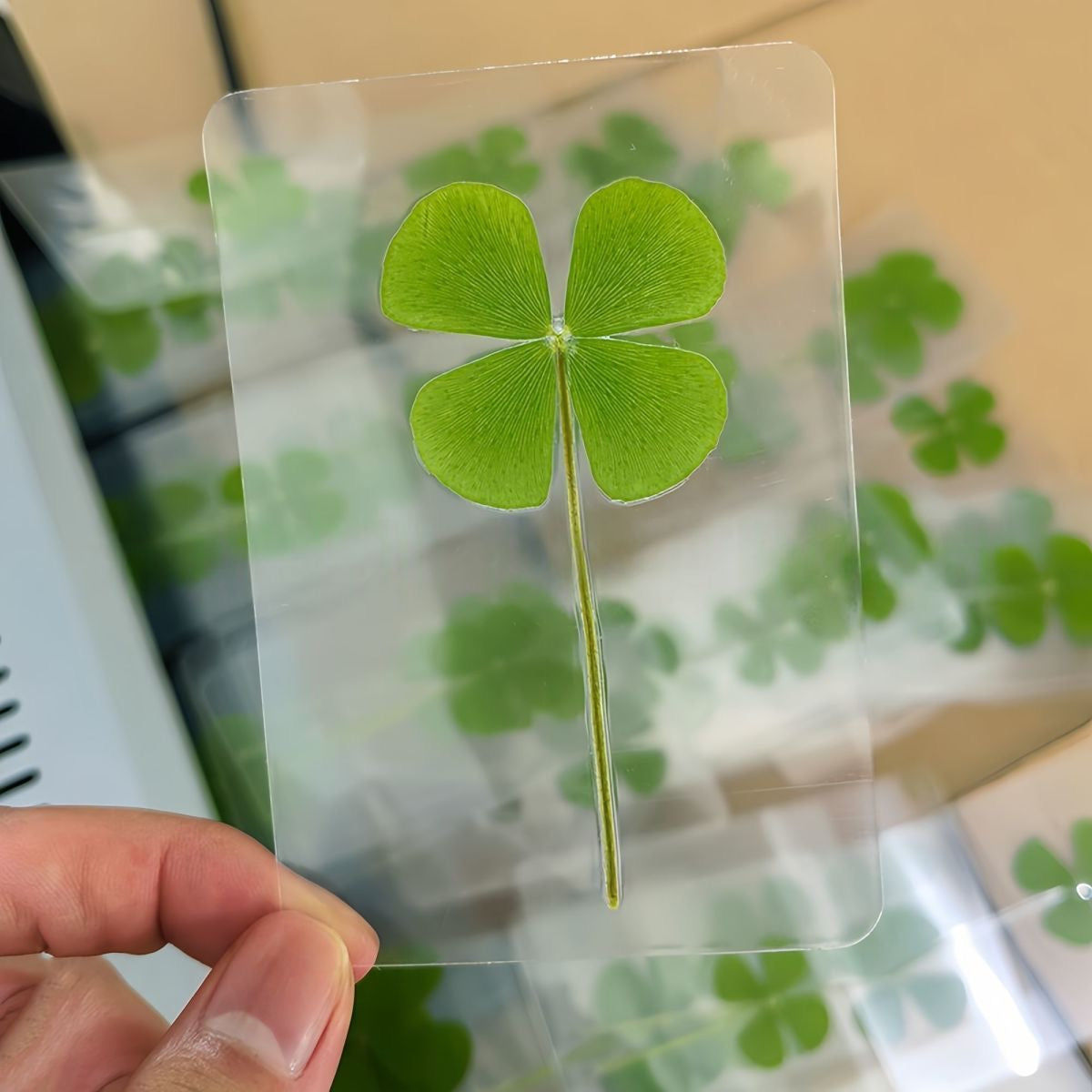Four leaf clover sheet